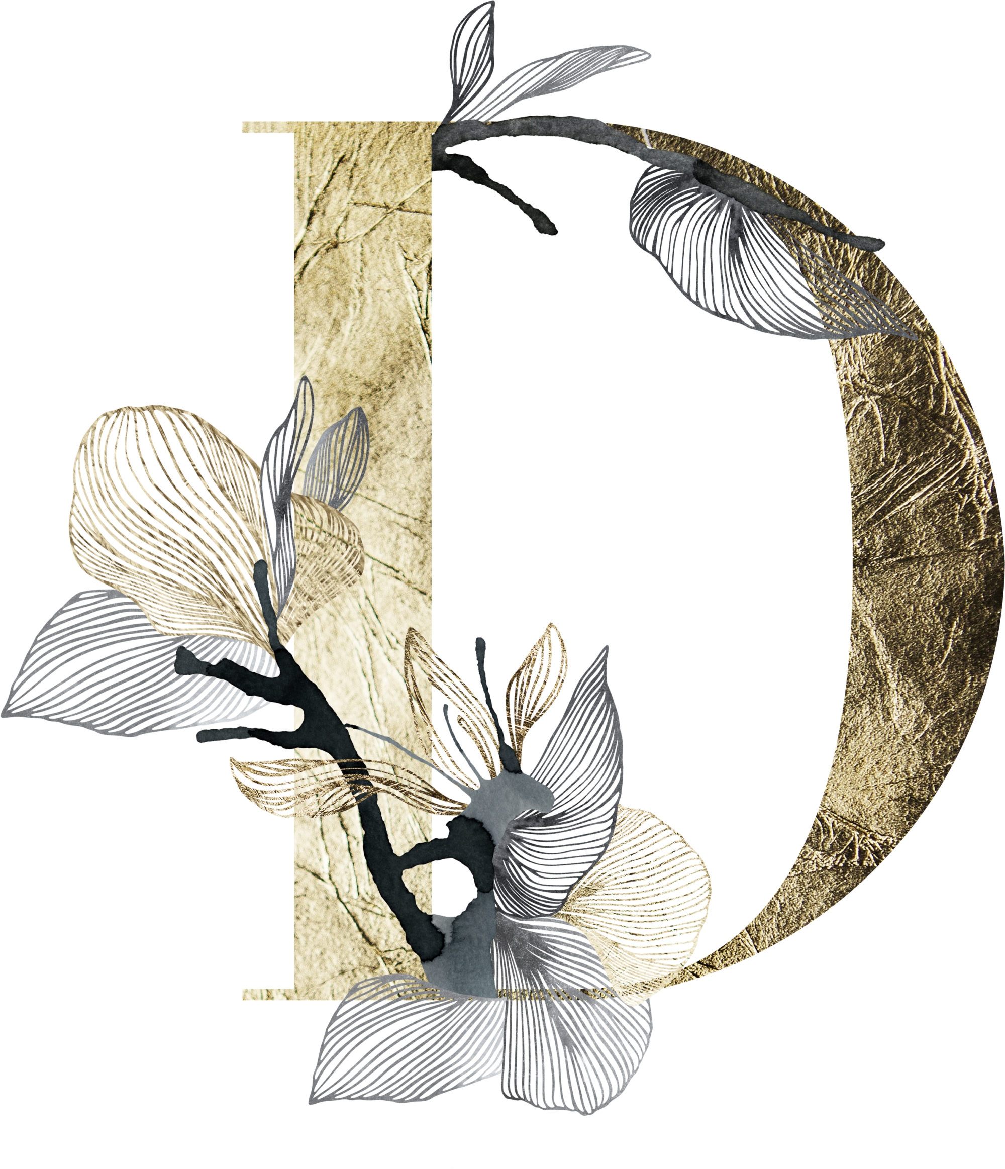 letter_D